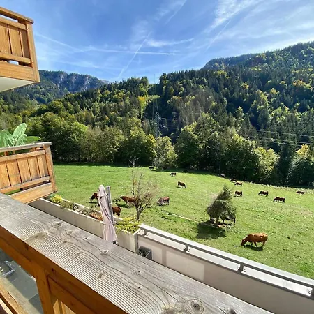 2 Ch + Coin Nuit, Balcon Sud, Garage, Pres De La Clusaz Et Commerces, St Jean De Sixt - Fr-1-459-195 Apartment
